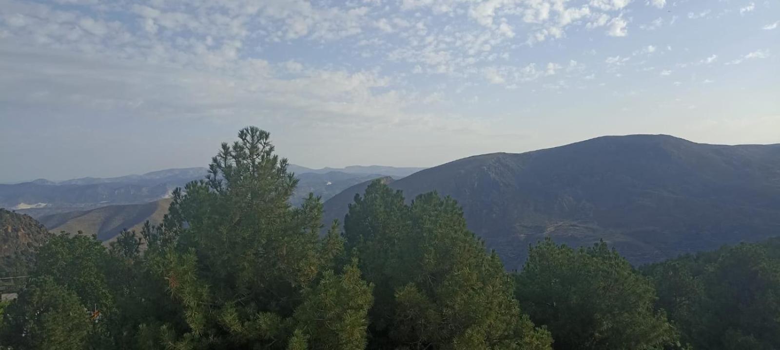 Hostal El Desvio Sierra Nevada Eksteriør bilde
