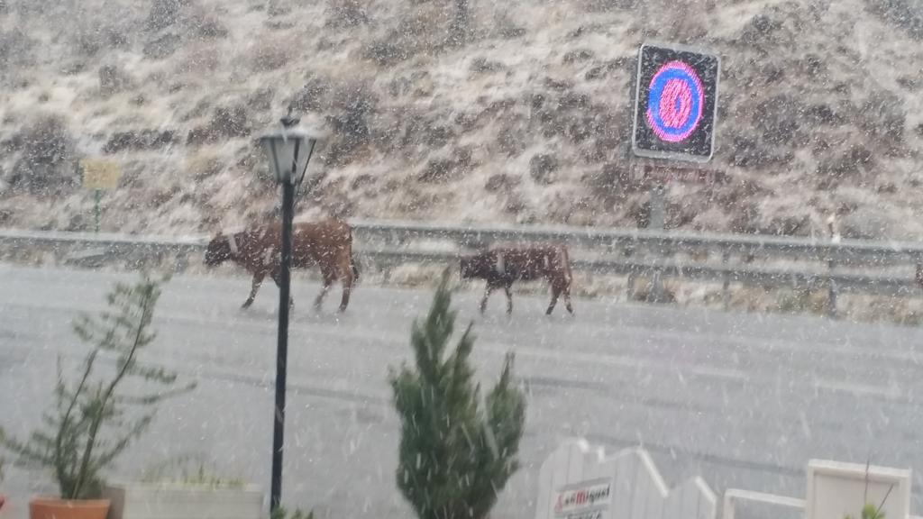 Hostal El Desvio Sierra Nevada Eksteriør bilde